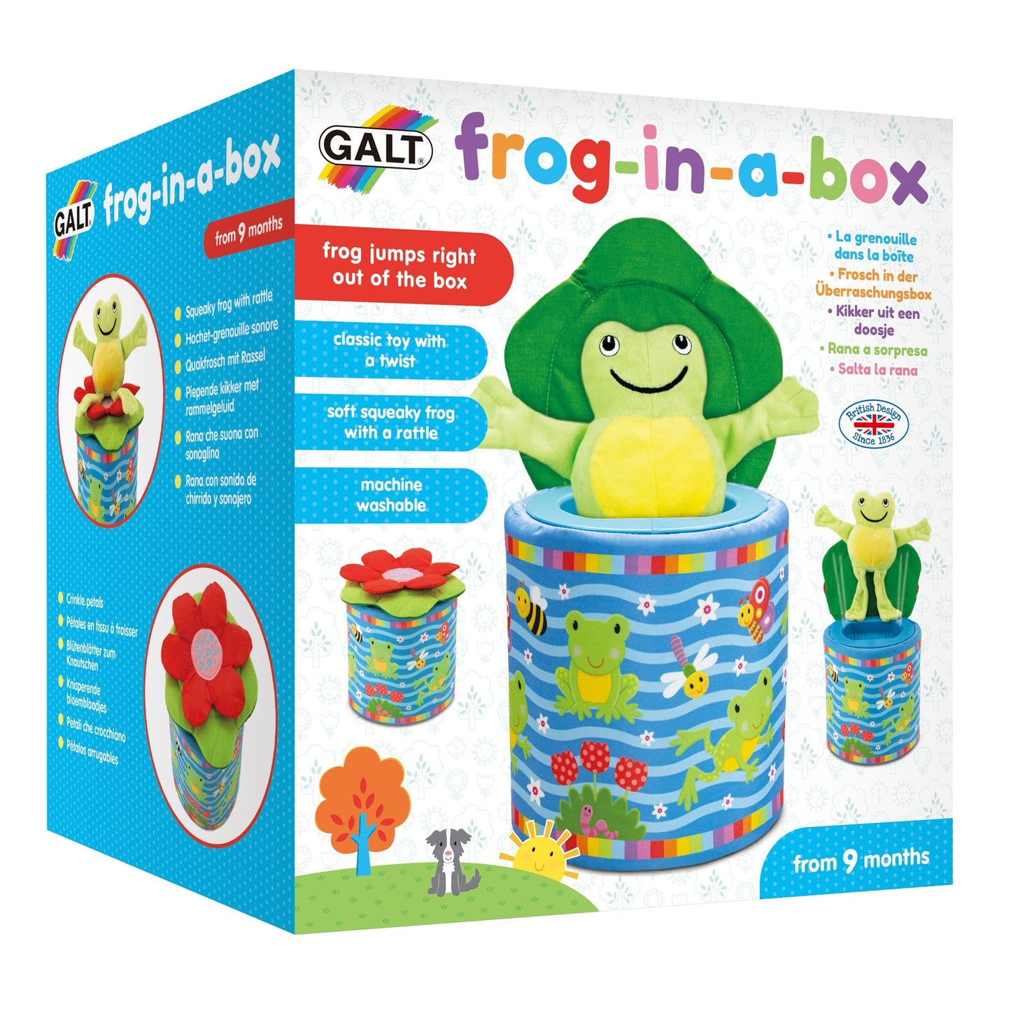 Frog-in-a-Box